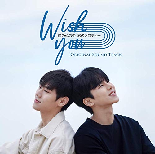 Wish You〜僕の心の中、君のメロディー〜 DVD カン・インス, イサン Amazon.co.jp: Wish You~僕の心の中、君のメロディー~ [DVD